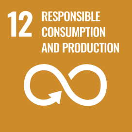 SDG 12